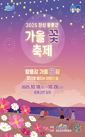 장성황룡강 가을꽃 축제