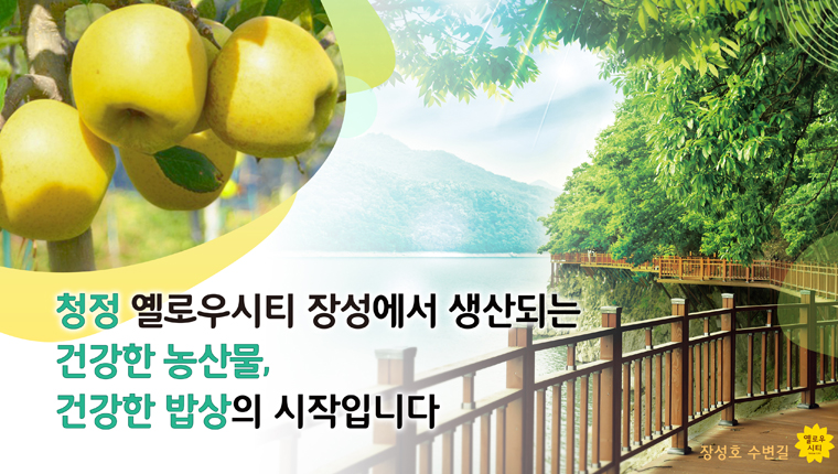 청정 옐로우시티 장성에서 생산되는 건강한 농산물