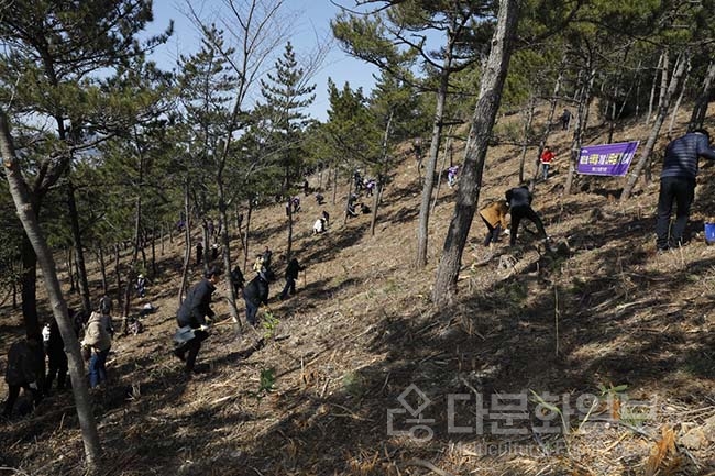 신안군, 제81회 식목일 기념 나무심기 행사 개최